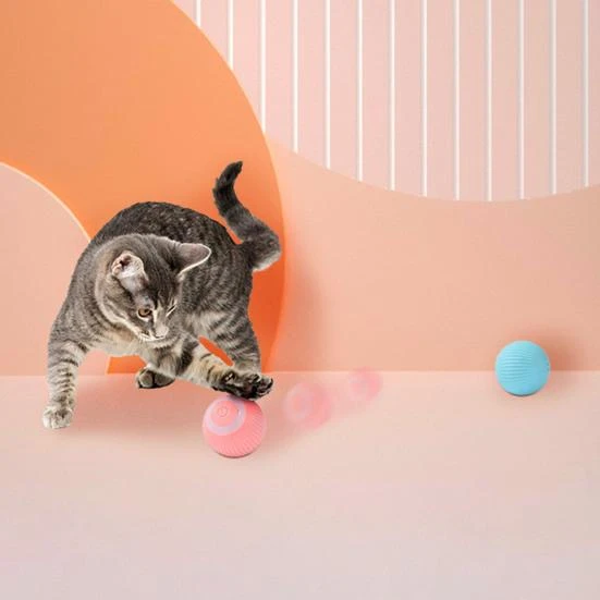 Automatic Cat Toy, I love My Pet