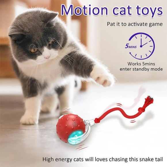Interactive Cat Toy Ball, Wotypea