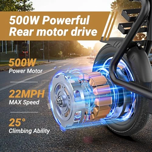 Electric Scooter, Roinside