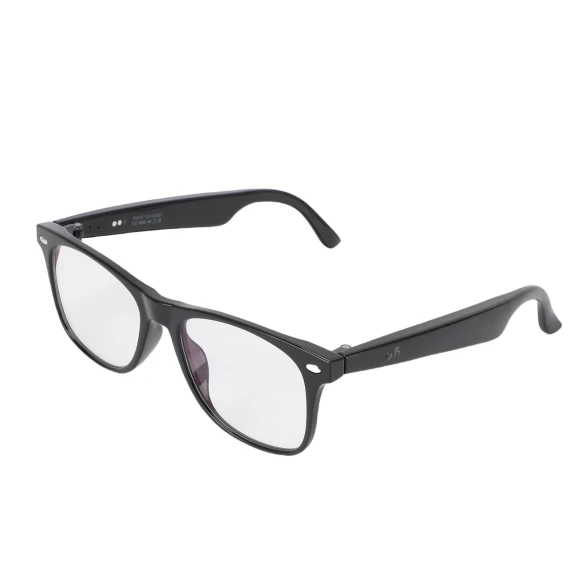 AI Translator Glasses, Begetting