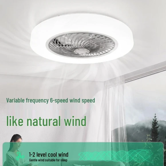 Modern Minimalist Smart Ceiling Fan with Lighting, ElectroCN
