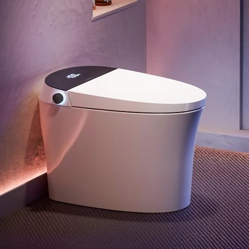 Smart Bidet Toilet, CANEST