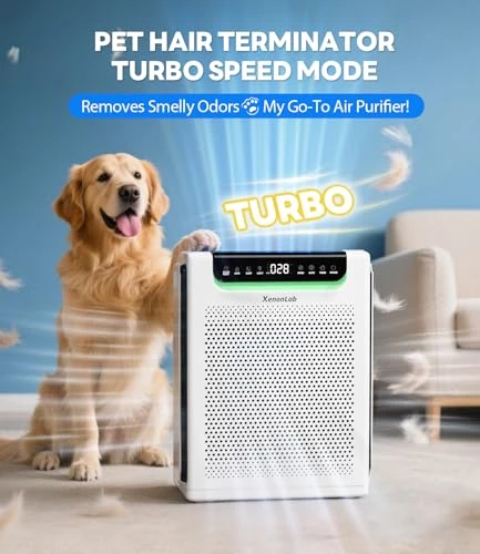 Large Room Air Purifier