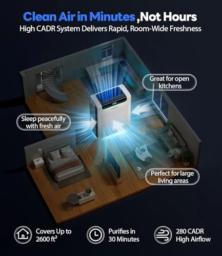 Large Room Air Purifier