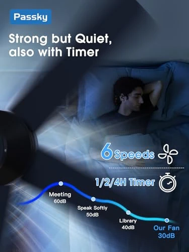 Smart Ceiling Fan with Lights