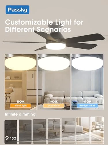 Smart Ceiling Fan with Lights