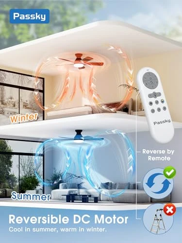 Smart Ceiling Fan with Lights