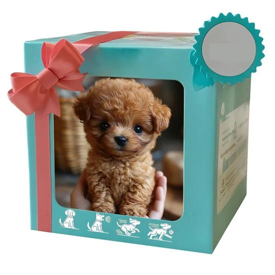 Electric Pet Robot Dog — Robot Pet, EDC Toy