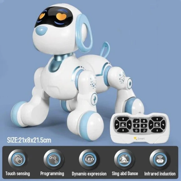 Remote Control Robot Toy — Robot Pet, LYZRC