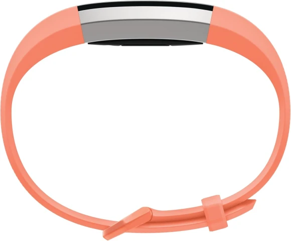 Fitness Activity Tracker, Large discount