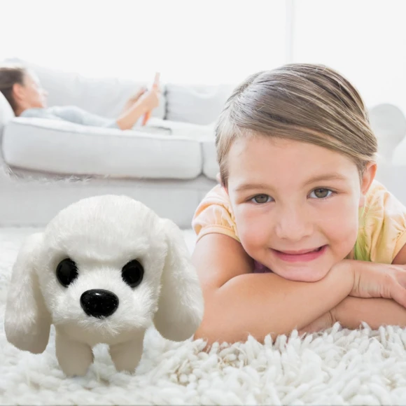 Realistic Robot Puppy, Colorful wall