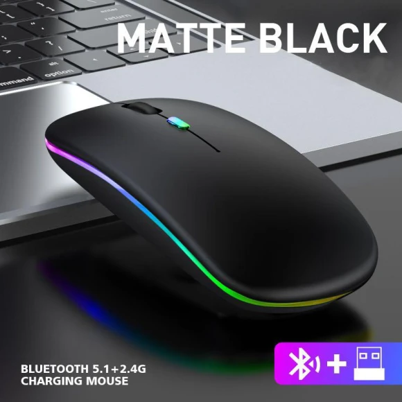 Wireless Computer Mouse with Silent Charging and Sound, cucu06