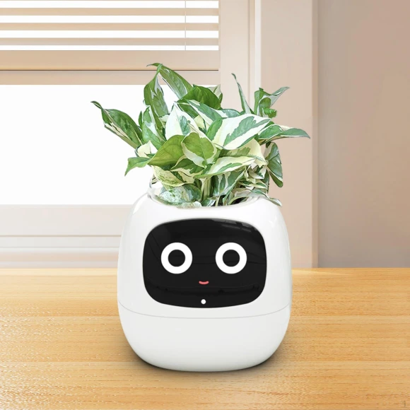 Smart Flower Pot, HappyToy