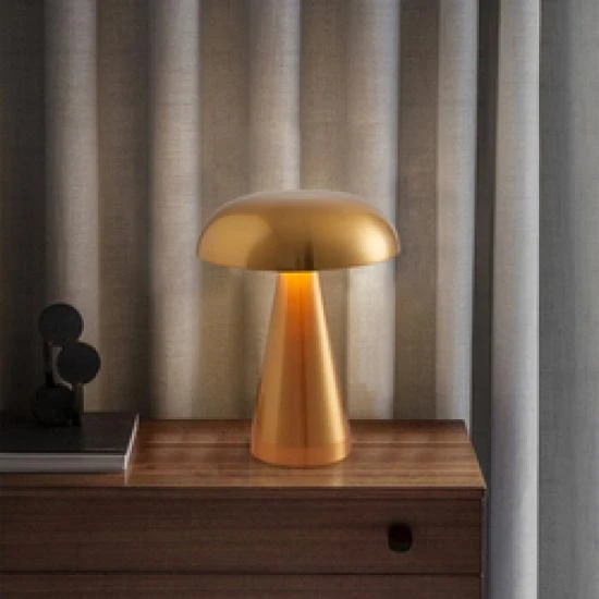 Mushroom Wireless USB Rechargeable Touch Switch — USB Lighting Solutions, Zhou Yajin