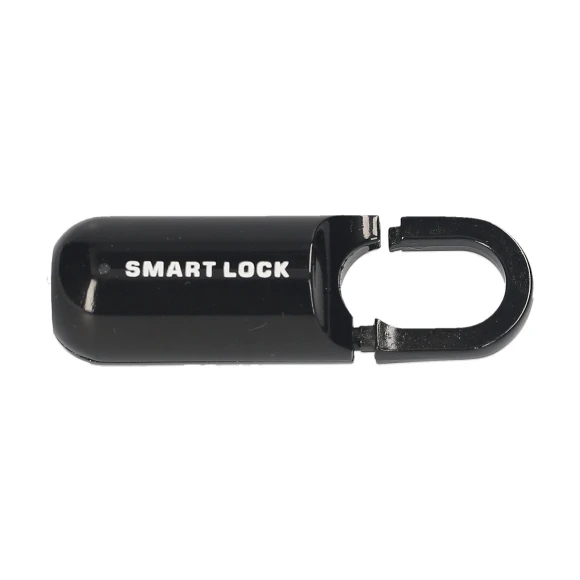 Smart Hanging Lock with Fingerprints — Smart Lock, Zeblaze