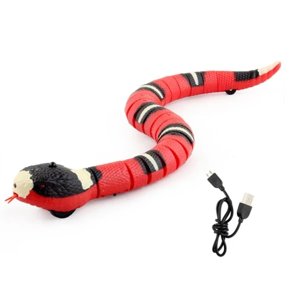 Interactive Cat Toy — Interactive Animal Companions, Zonew