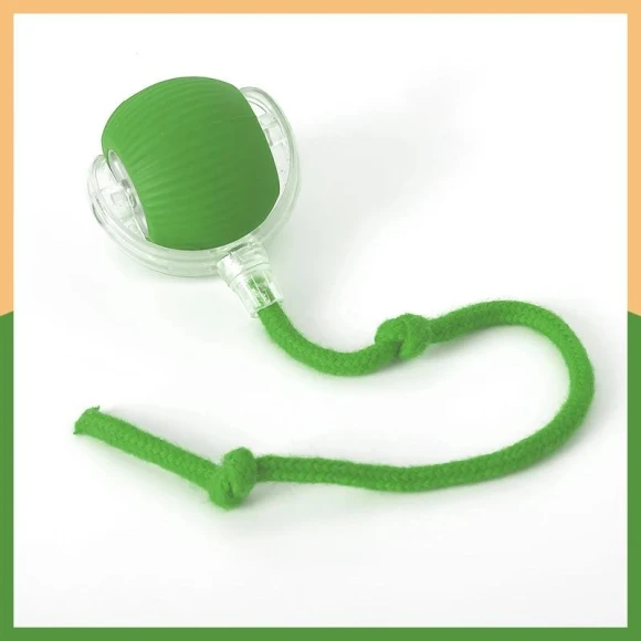 Automatic Electric Rolling Ball — Automatic Cat Toy, Photography