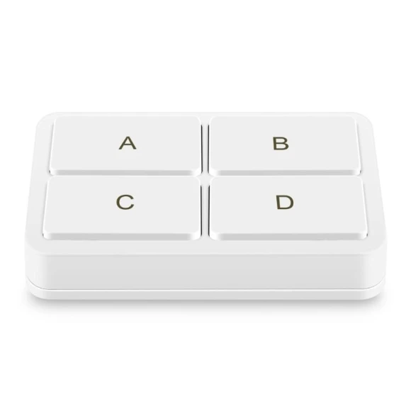 Wireless 4-Position Switch Button, Homedepot