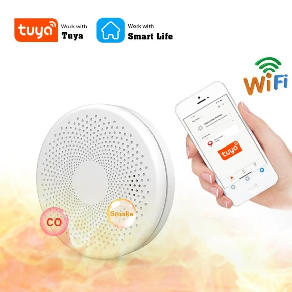 Smart Smoke and Carbon Monoxide Detector, Good Household Items