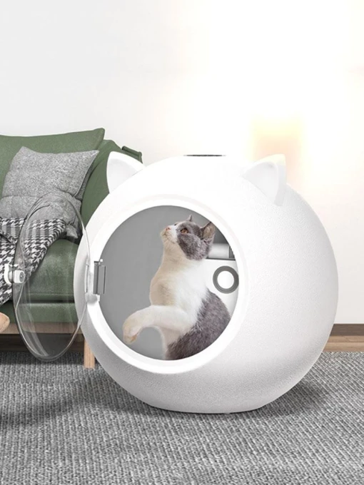 Intelligent Pet Dryer Timer, Rainbow Rain