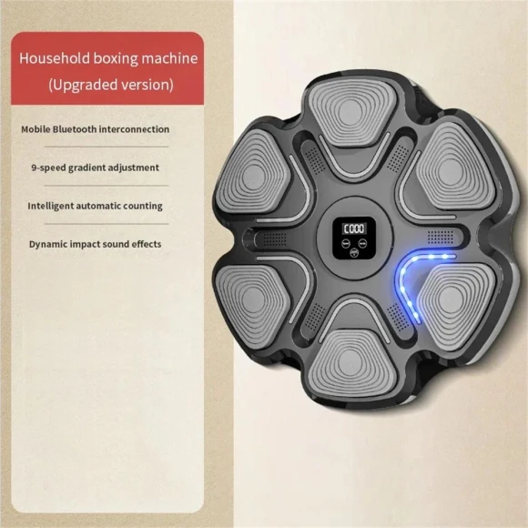 Smart Musical Boxing Trainer — Boxing Training Gear, Wrigleys