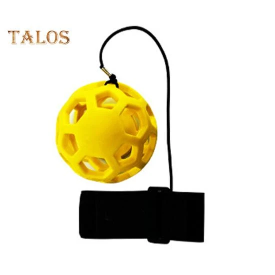Swing Smart Ball Golf Trainer, ZTTO