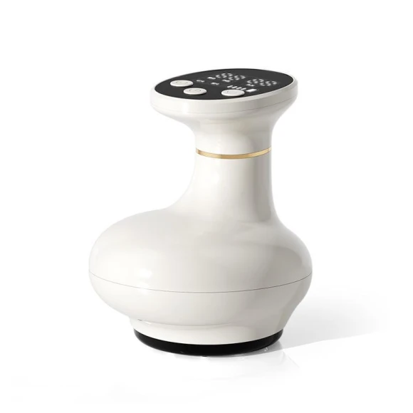 Smart Electric Jar and Warming Massager, Small Appliances