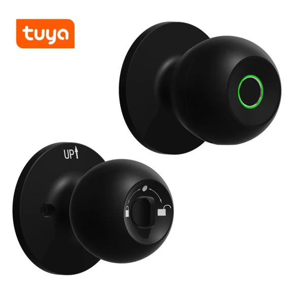Biometric Door Lock — Smart Home Security, Chic Home