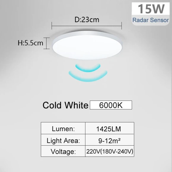 LED Ceiling Light with Radar Sensor, Rainbow Rain