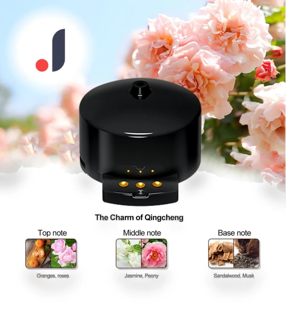 Car Aromatherapy Diffuser — Car Air Fresheners, Timeless Home
