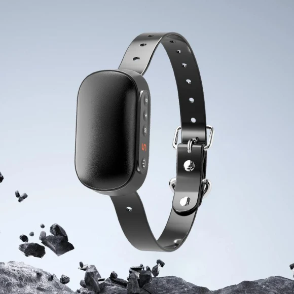 Smart Anti-Bark Dog Collar, Smart Pet Supplies