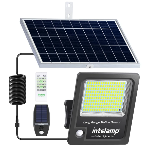 Solar Light with Motion Sensor, Intelamp