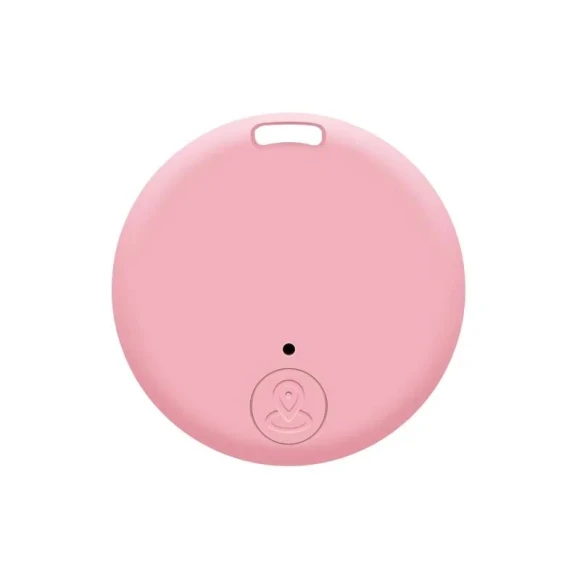 Mini Bluetooth Outdoor Anti-lost Device — Dog GPS Tracker, A Surname Home