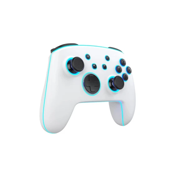 Wireless Controller with Colorful Light Effect — Gaming Controllers, FourAll Video Games Accessories