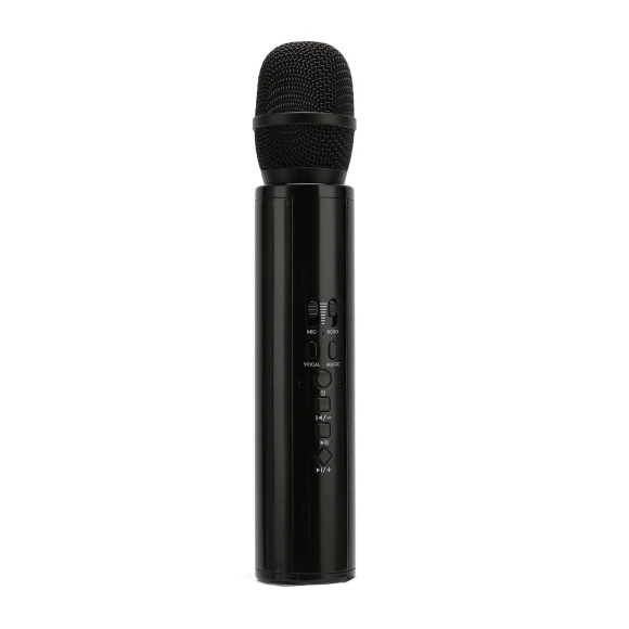 Handheld Microphone with Noise Reduction and Stereo Sound — Karaoke Machine, mfySpace