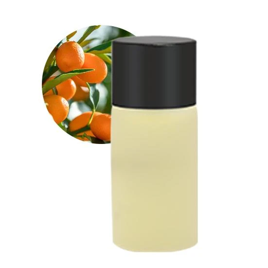 Smart Car Air Freshener — Essential Oil Diffuser, duochongyuzhou