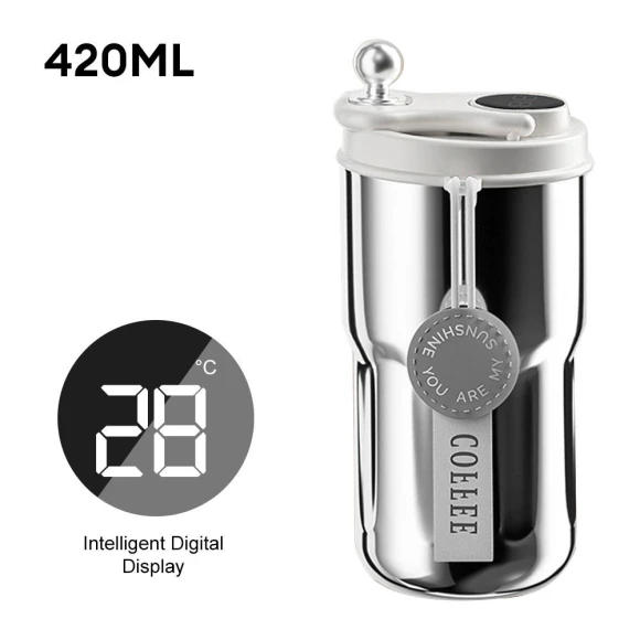 Smart Thermos Bottle with LED Temperature Display, Chic Interiors