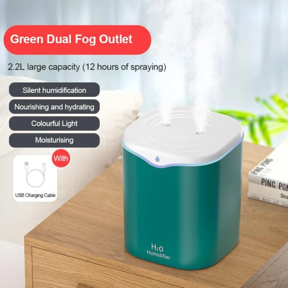 Double Air Humidifier with Spray — Humidifier, Leisury