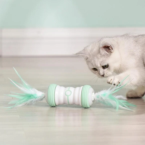 Electric Cat Funny Wand Toy — Automatic Cat Toy, Pet family bucket