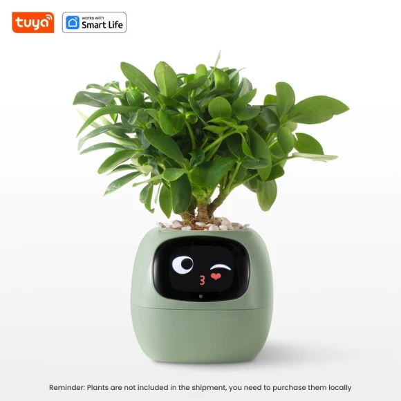 Smart Life Planter — Smart Home Modules, Build My Home
