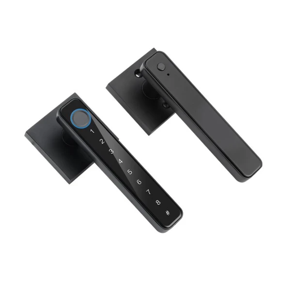 Smart Home Fingerprint Door Lock — Biometric Security, AE Selection