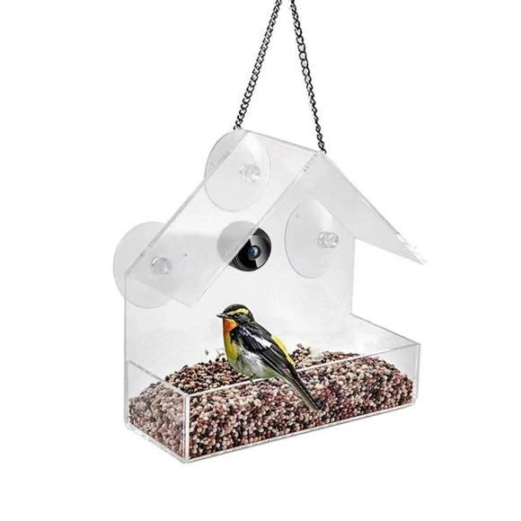 Smart Bird Feeder with Camera — Smart Bird Feeder, Sole Street