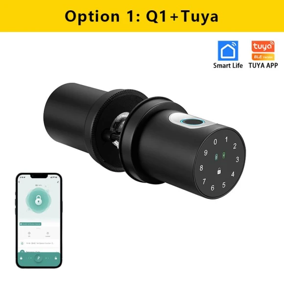 Smart Lock Q1 — Smart Home Security, RAYKUBE