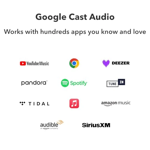 AirPlay 2 and Google Cast Audio Receiver — Smart Speaker, WiiM