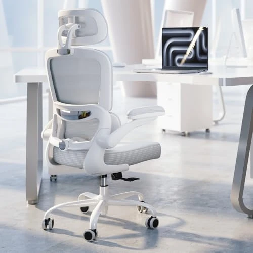 Ergonomic Office Chair with Adjustable Headrest and Lumbar Support — Ergonomic Chair, TRALT
