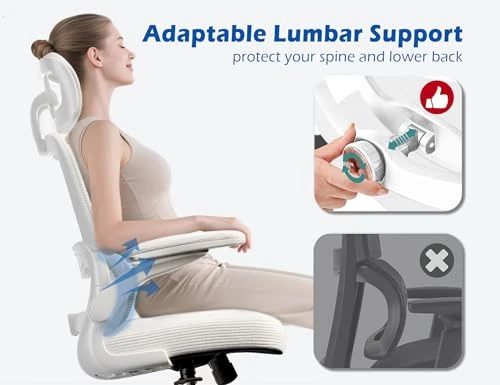Ergonomic Office Chair with Adjustable Headrest and Lumbar Support — Ergonomic Chair, TRALT