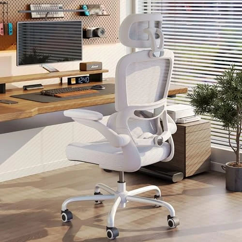 Ergonomic Office Chair with Adjustable Headrest and Lumbar Support — Ergonomic Chair, TRALT