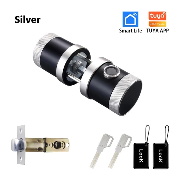 Smart Lock with Fingerprint, Keypad, and Card Access — Smart Lock, RAYKUBE