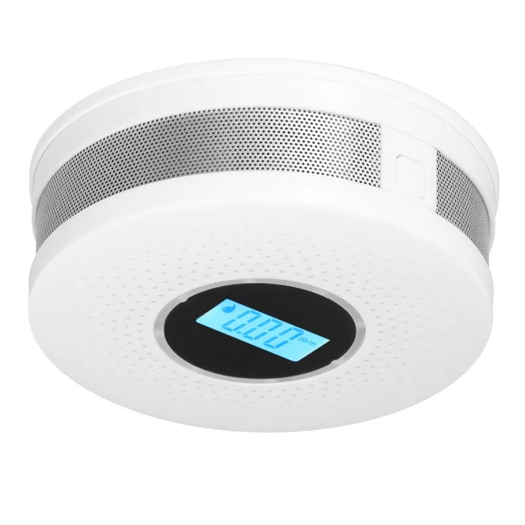 Smoke and Carbon Monoxide Detector, Painter