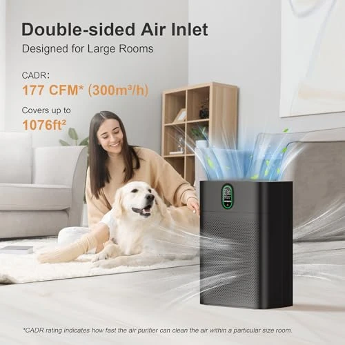 Air Purifier for Large Rooms — Air Purifier, MORENTO